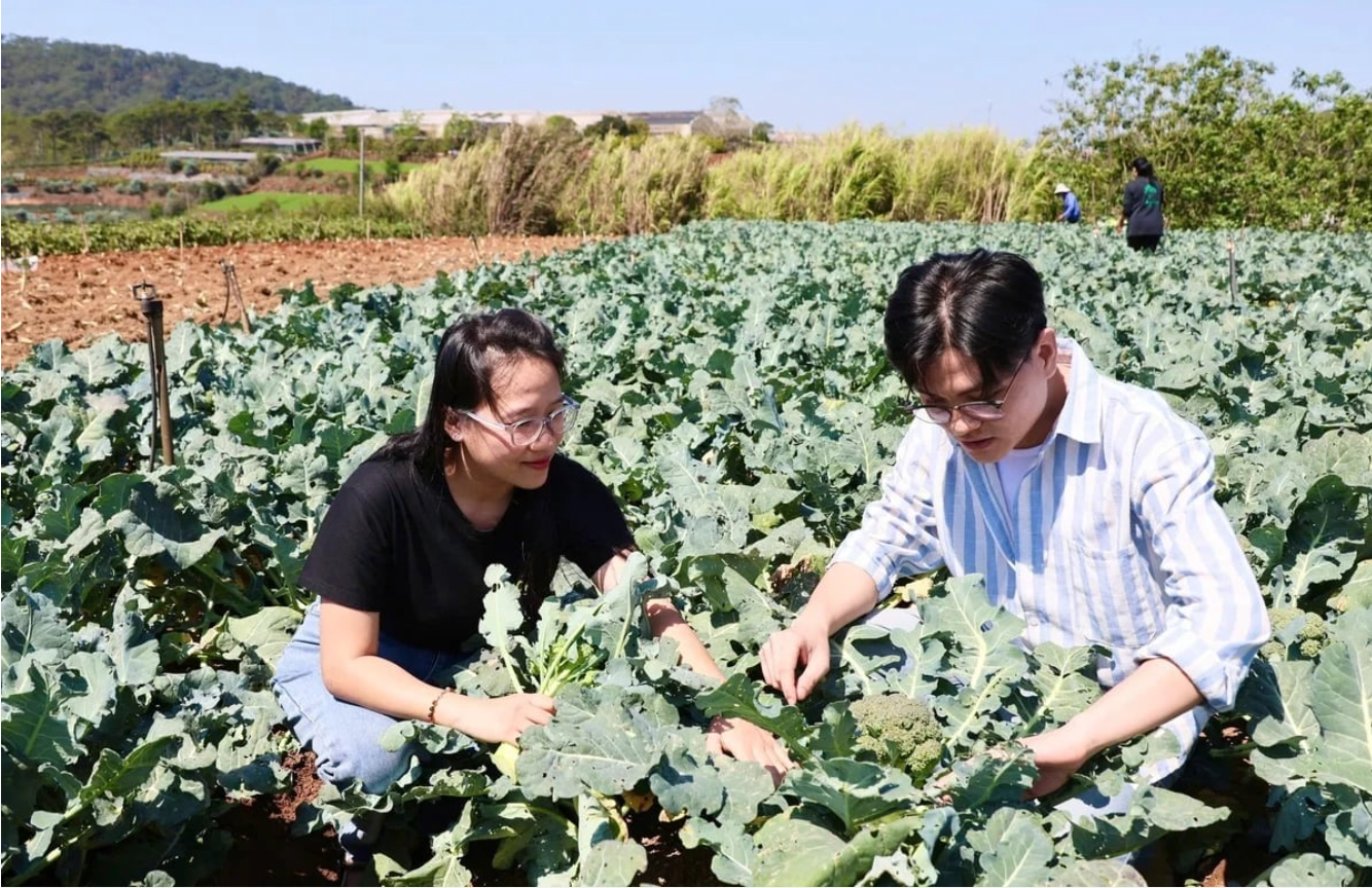 Lam Dong organic agriculture charts sustainable path